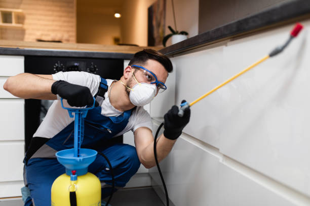 Best Exterminator Services  in Burnsville, MN