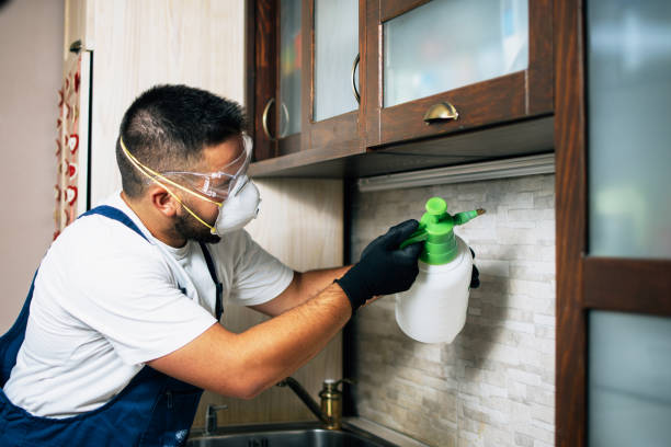 Best Rat Extermination Near Me  in Burnsville, MN