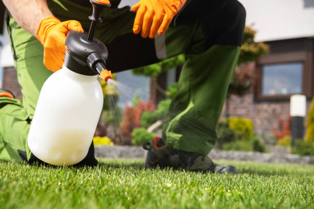 Best Pest Removal Services  in Burnsville, MN
