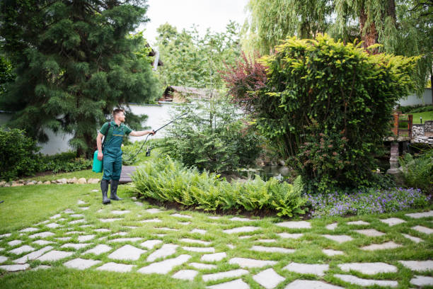 Best Mosquito Control Services  in Burnsville, MN