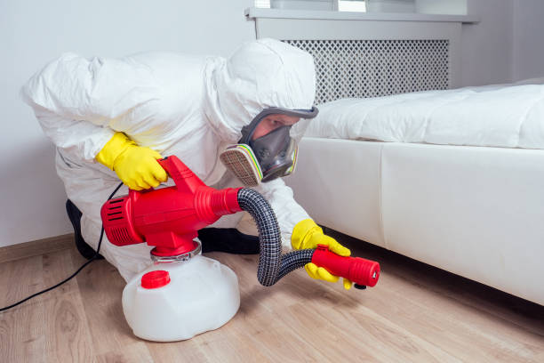 Best Local Pest Control Services  in Burnsville, MN
