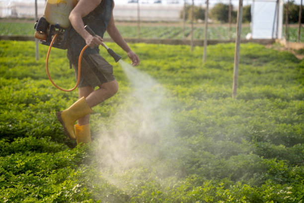 Best Mosquito Control Services  in Burnsville, MN