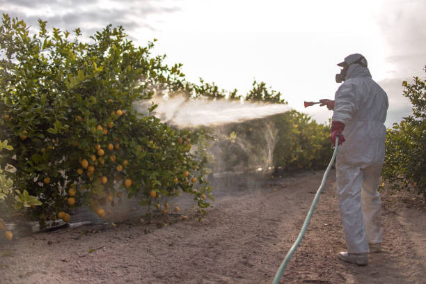 Best Best Pest Control Companies  in Burnsville, MN
