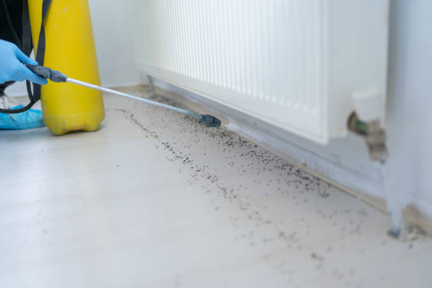 Best Affordable Pest Control Services  in Burnsville, MN