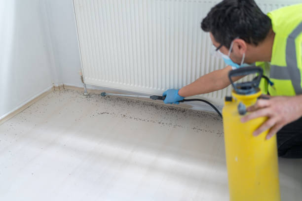 Best Residential Pest Control  in Burnsville, MN