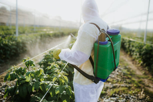  Burnsville, MN Pest Control Pros